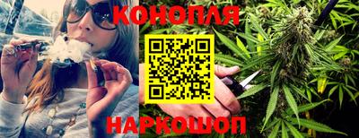 Альфа ПВП Обь