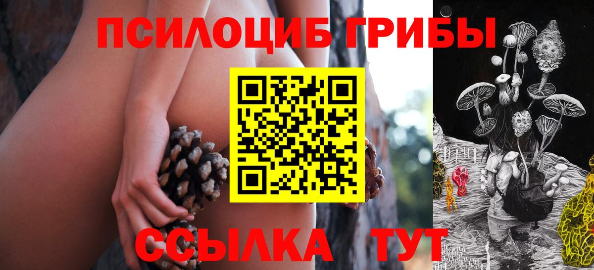 Псилоцибиновые грибы прущие грибы Подольск
