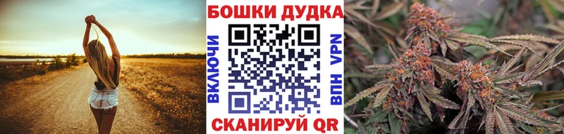 Каннабис MAZAR  где найти   Подольск 